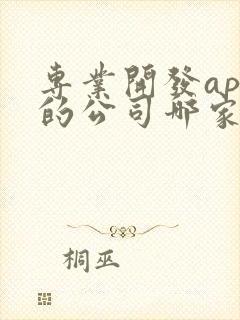专业开发app的公司哪家好