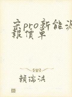 宋pro新能源报价单