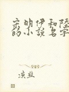 宋明伊和陆慎行的小说名字