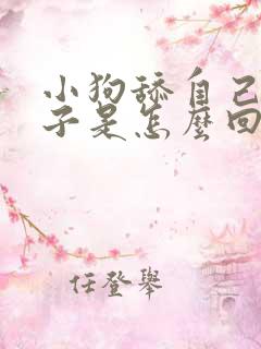 小狗舔自己的爪子是怎么回事