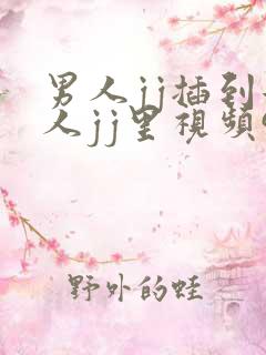 男人jj插到女人jj里视频91