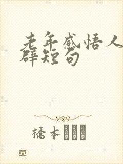 老年感悟人生精辟短句