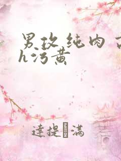 男攻 纯肉 高h污黄