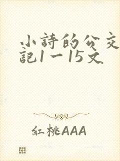 小诗的公交车日记1一15文