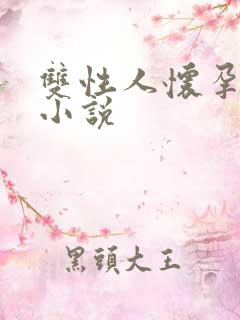 双性人怀孕生子小说
