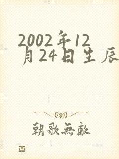 2002年12月24日生辰八字