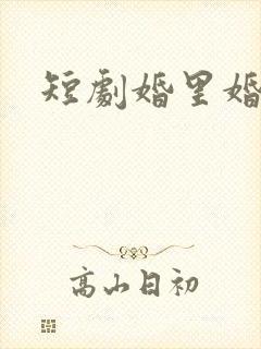 短剧婚里婚外