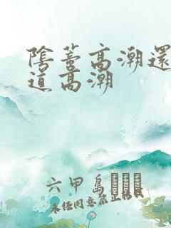 阴蒂高潮还是阴道高潮