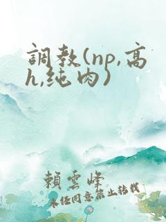 调教(np,高h,纯肉)