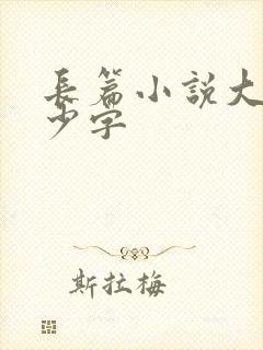 长篇小说大概多少字