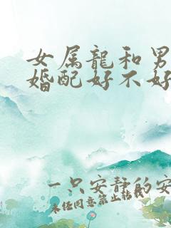 女属龙和男兔的婚配好不好