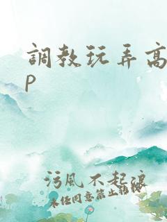 调教玩弄高hnp
