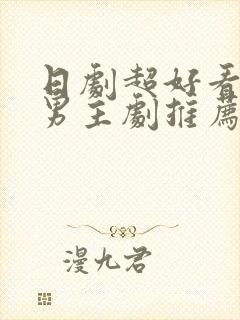 日剧超好看的双男主剧推荐