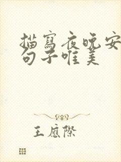描写夜晚安静的句子唯美