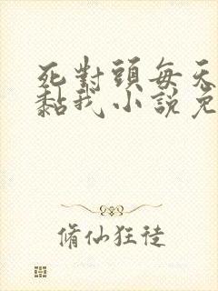 死对头每天都在黏我小说免费阅读