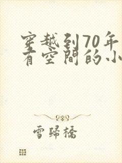 穿越到70年代有空间的小说