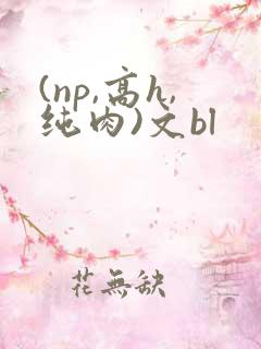 (np,高h,纯肉)文bl