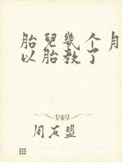 胎儿几个月就可以胎教了