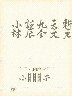 小说九天斩神诀林辰全文免费阅读