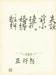 离婚后前夫总想纠缠我小说