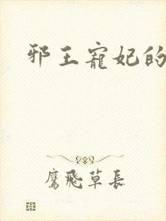 邪王宠妃的