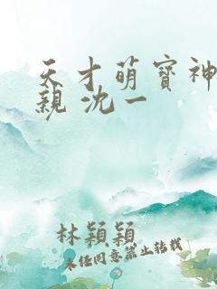 天才萌宝神医娘亲 沈一