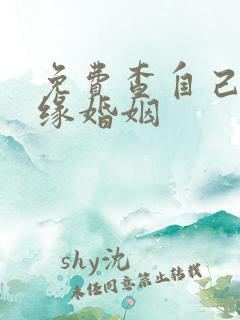 免费查自己的姻缘婚姻