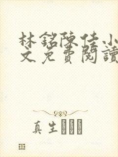 林铭陈佳小说全文免费阅读