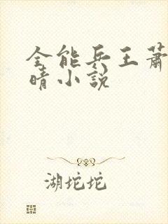 全能兵王萧晨苏晴小说