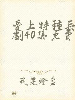 爱上特种兵电视剧40集免费观看全集