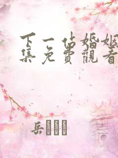 下一站婚姻40集免费观看电视剧