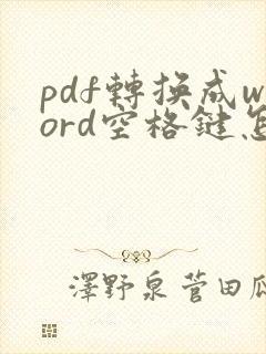 pdf转换成word空格键怎么去掉