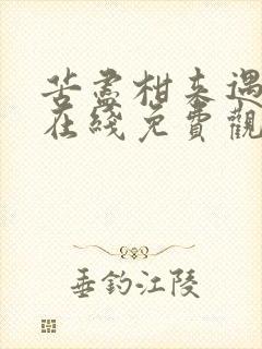 苦尽柑来遇见你在线免费观看完整版