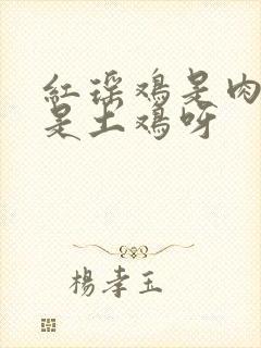 红瑶鸡是肉鸡还是土鸡呀