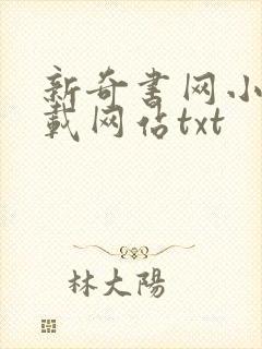 新奇书网小说下载网站txt