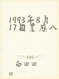 1993年8月17日农历八字命理
