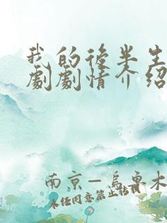 我的后半生电视剧剧情介绍