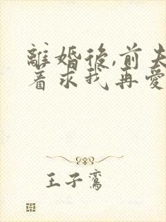 离婚后,前夫哭着求我再爱他一次小说