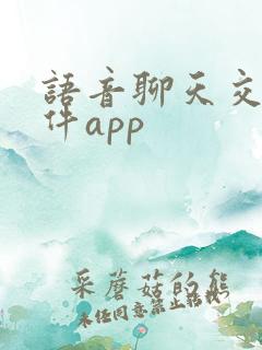 语音聊天交友软件app