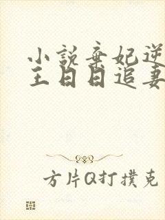 小说弃妃逆袭邪王日日追妻忙