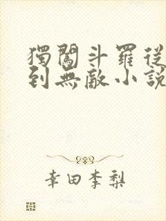 独闯斗罗从穿越到无敌小说免费阅读
