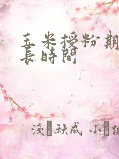 玉米授粉期是多长时间