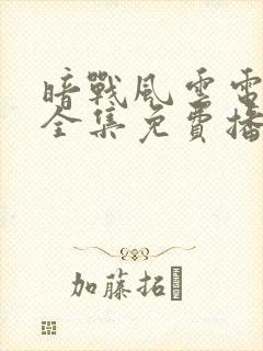 暗战风云电视剧全集免费播放
