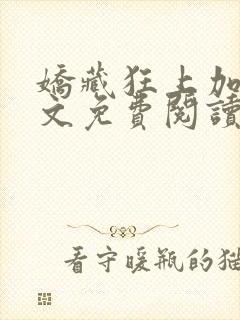 娇藏狂上加狂全文免费阅读笔趣阁