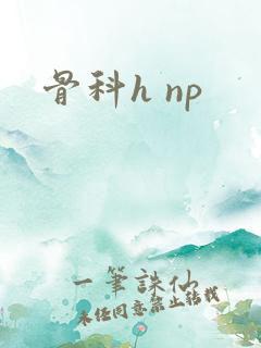骨科h np