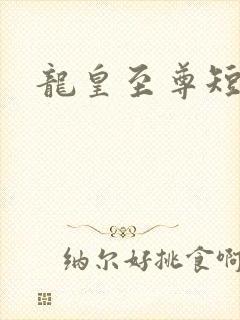 龙皇至尊短剧