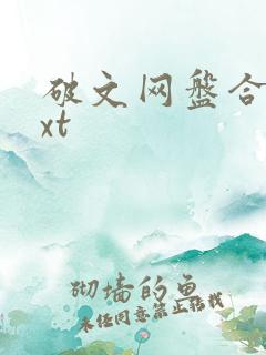 破文网盘合集txt