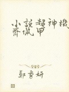小说超神机械师齐佩甲