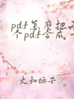 pdf怎么把两个pdf合成一页