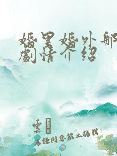 婚里婚外那些事剧情介绍